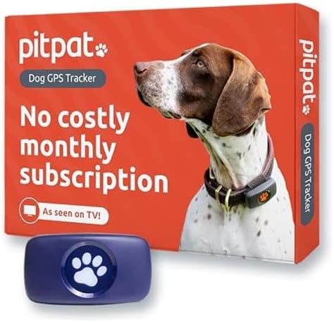 dog gps tracker no subscription.